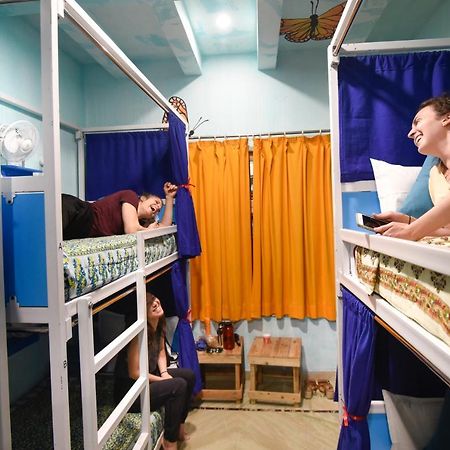 Gypsy Nest Hostel อัครา ภายนอก รูปภาพ