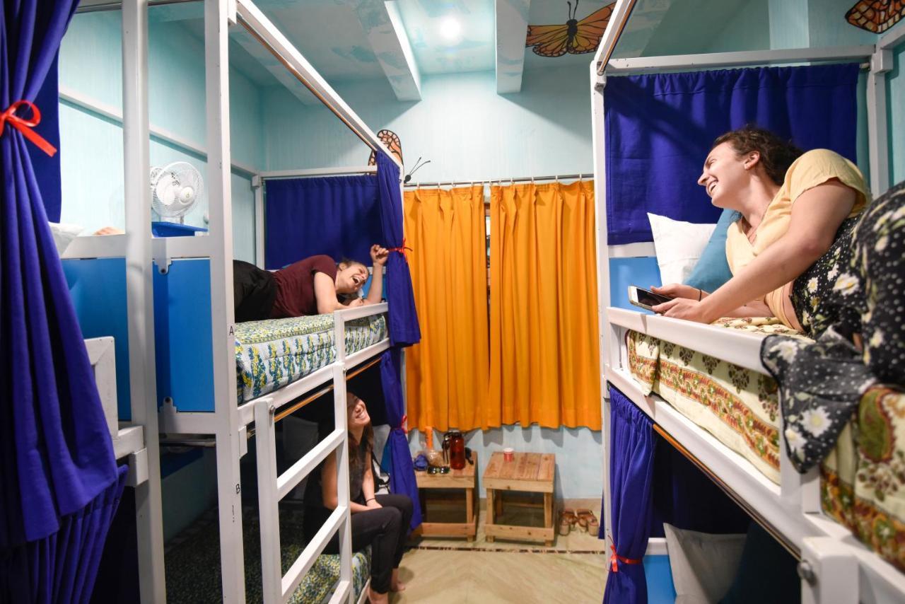 Gypsy Nest Hostel อัครา ภายนอก รูปภาพ